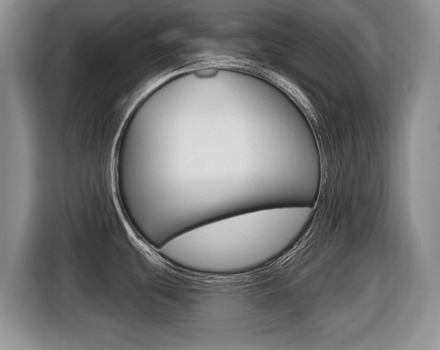 X0000116431439200912081211