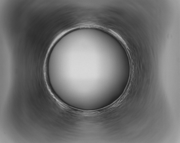 X0000116431440200912081212
