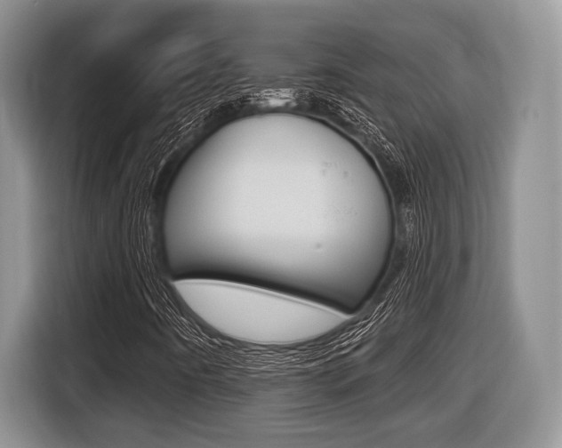 X0000116431442200912081211