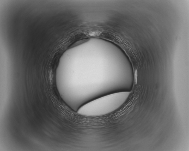 X0000116431443200912081211