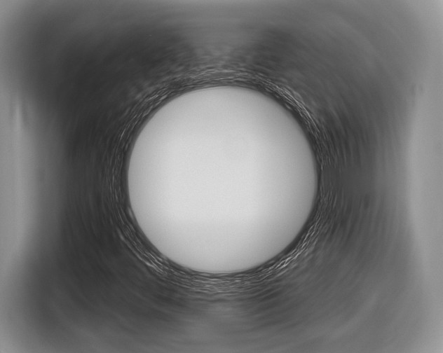 X0000116431444200912081211