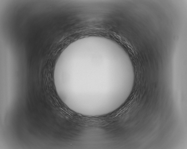 X0000116431445200912081211