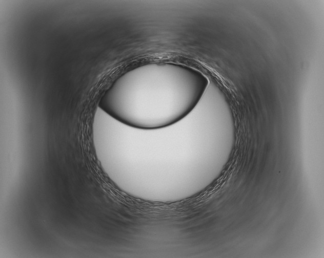 X0000116431447200912081211