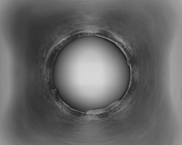 X0000116431448200912081211