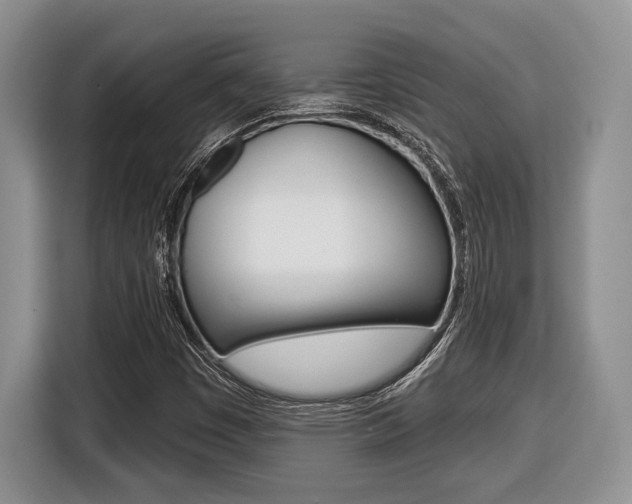 X0000116431449200912081211