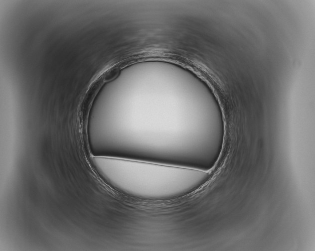 X0000116431450200912081211