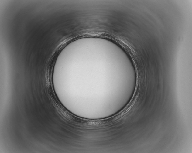 X0000116431451200912081211