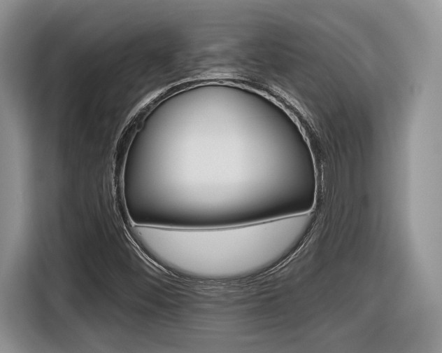 X0000116431452200912081211