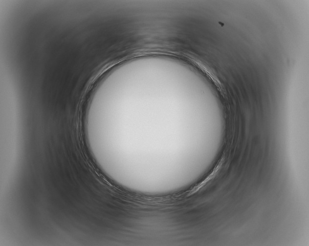 X0000116431453200912081211