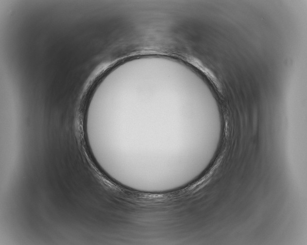 X0000116431454200912081211