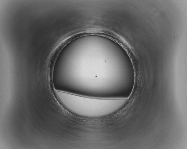 X0000116431456200912081211