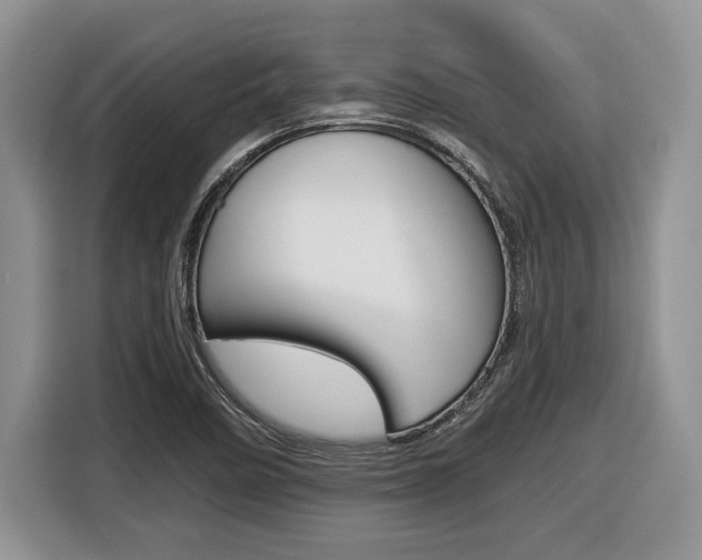 X0000116431458200912081211