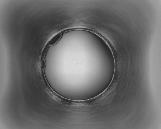 X0000116431460200912081211