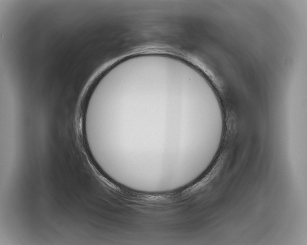 X0000116431462200912081211