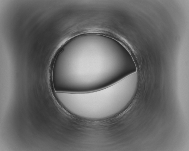 X0000116431463200912081211