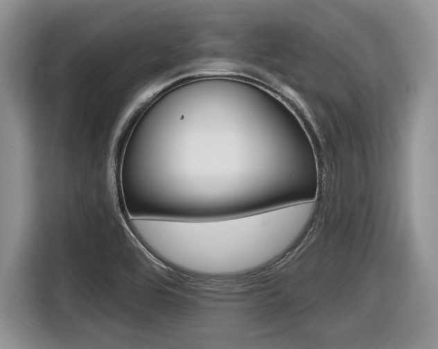 X0000116431464200912081211