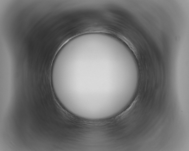 X0000116431465200912081211