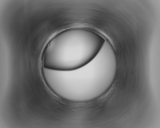 X0000116431467200912081211