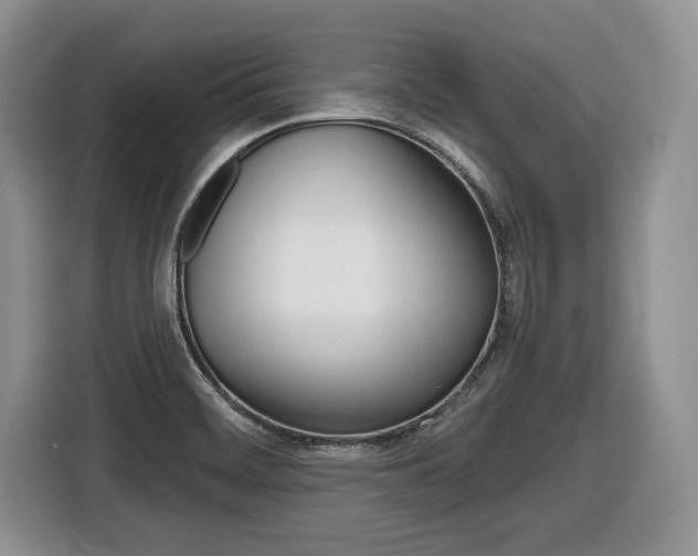 X0000116431468200912081211