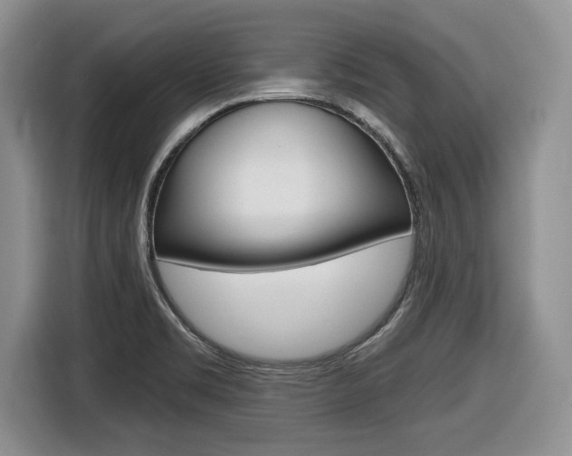 X0000116431469200912081211