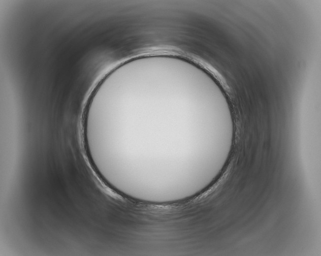 X0000116431470200912081210