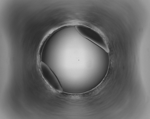 X0000116431472200912081210