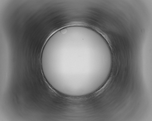 X0000116431473200912081210