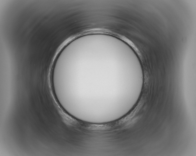 X0000116431474200912081210