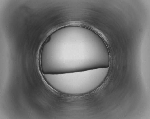 X0000116431475200912081210