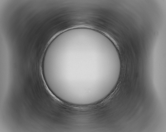 X0000116431476200912081210