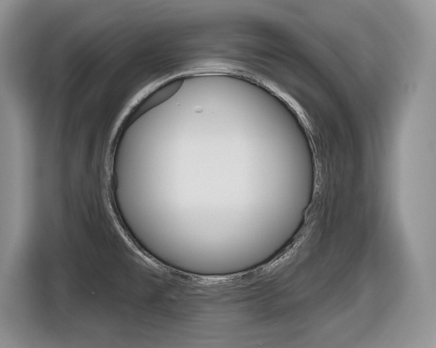 X0000116431477200912081210