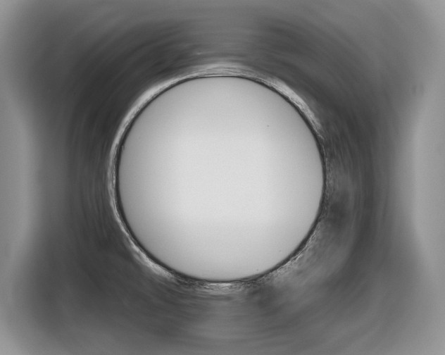 X0000116431478200912081210
