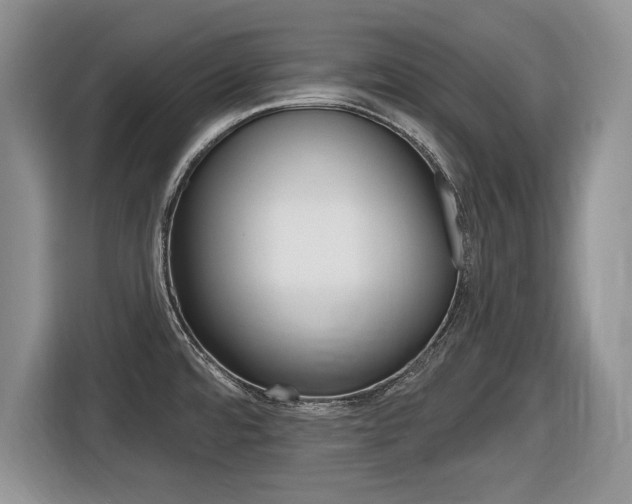X0000116431480200912081210