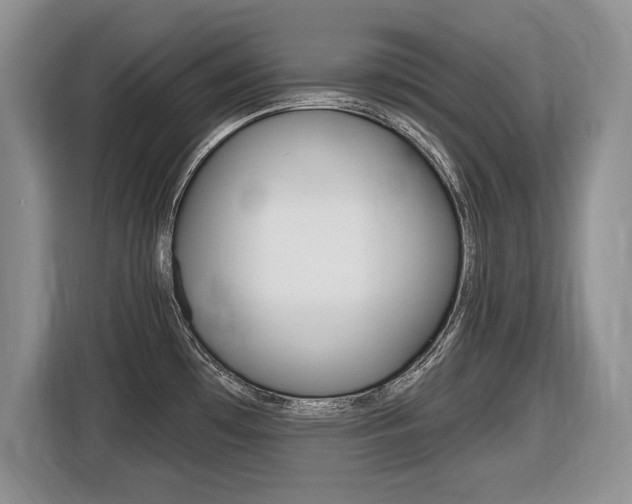 X0000116431481200912081210