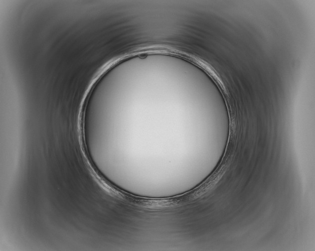 X0000116431482200912081210