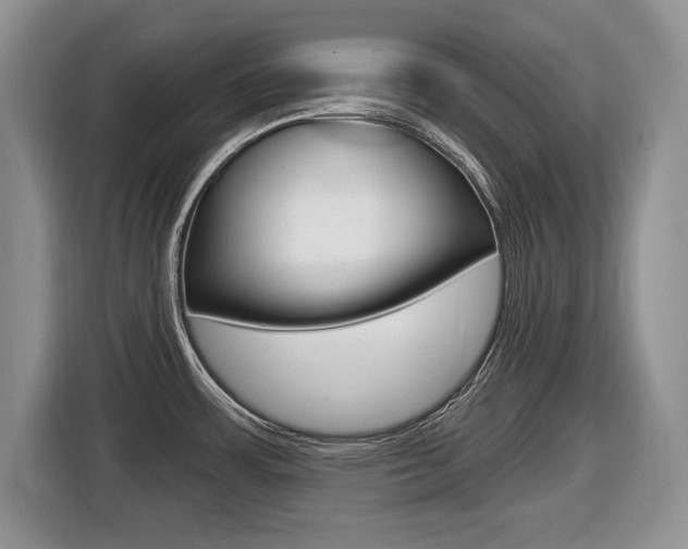 X0000116431483200912081210