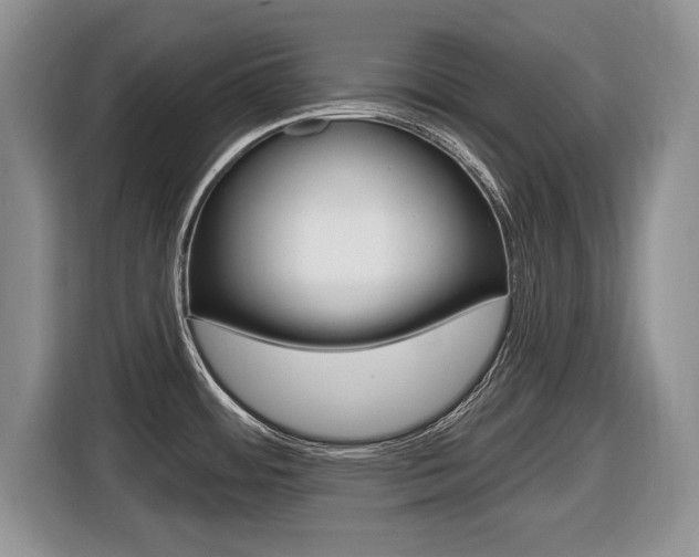 X0000116431484200912081210