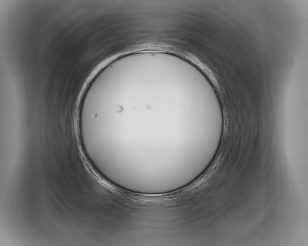 X0000116431486200912081210