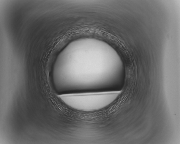X0000116431489200912081210