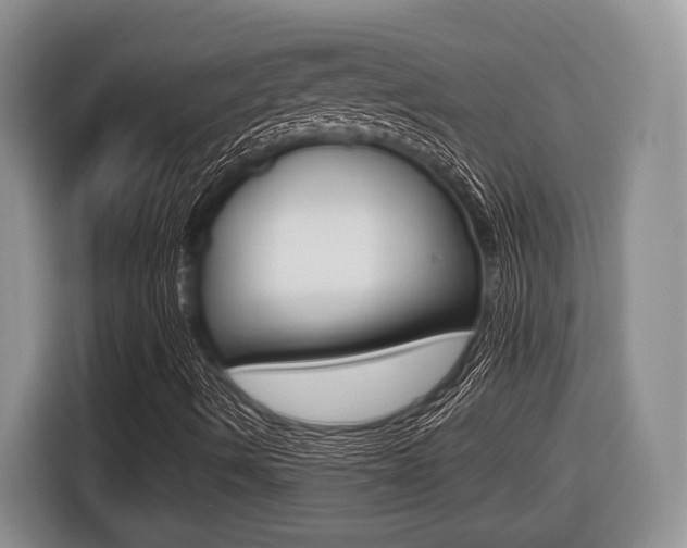 X0000116431490200912081210