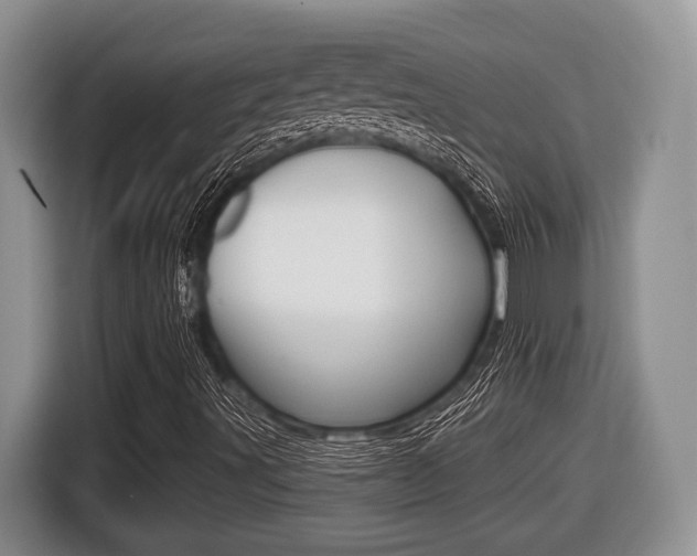 X0000116431491200912081210