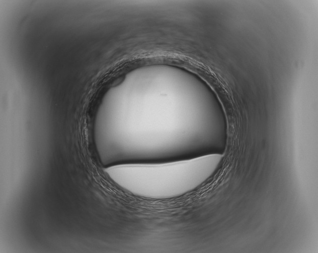 X0000116431493200912081210