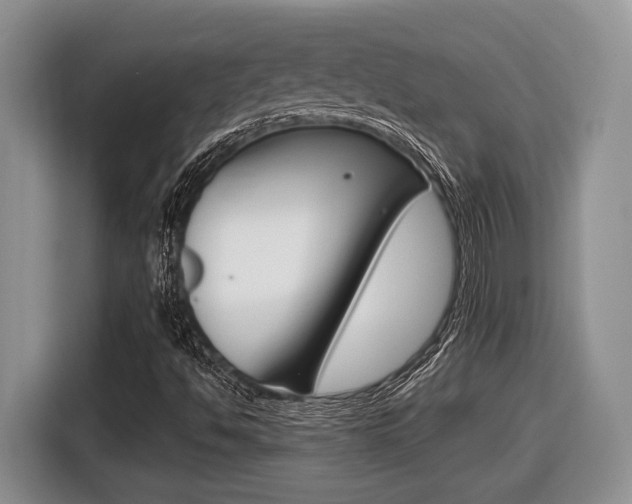 X0000116431494200912081210