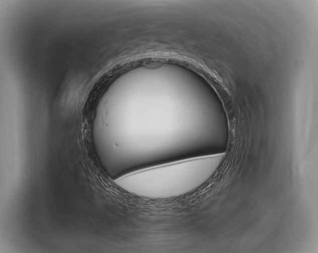 X0000116431495200912081210