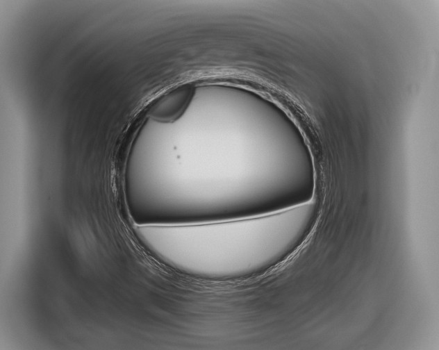X0000116431497200912081210