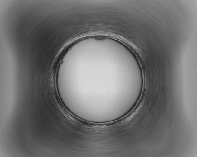 X0000116431498200912081210