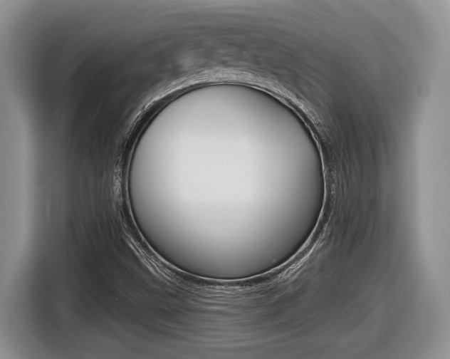 X0000116431499200912081210