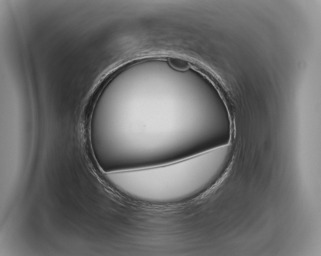 X0000116431501200912081210