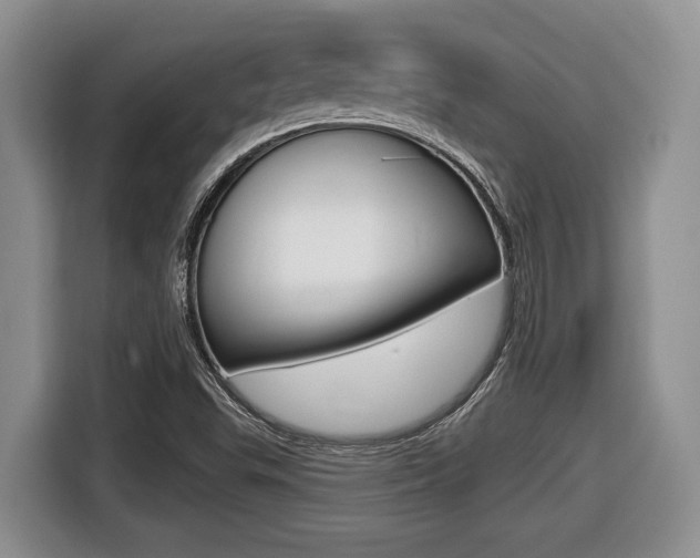 X0000116431503200912081210
