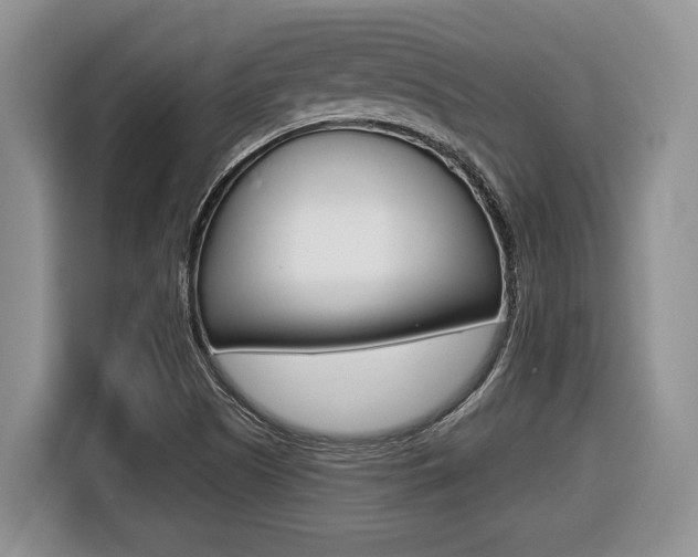 X0000116431505200912081210
